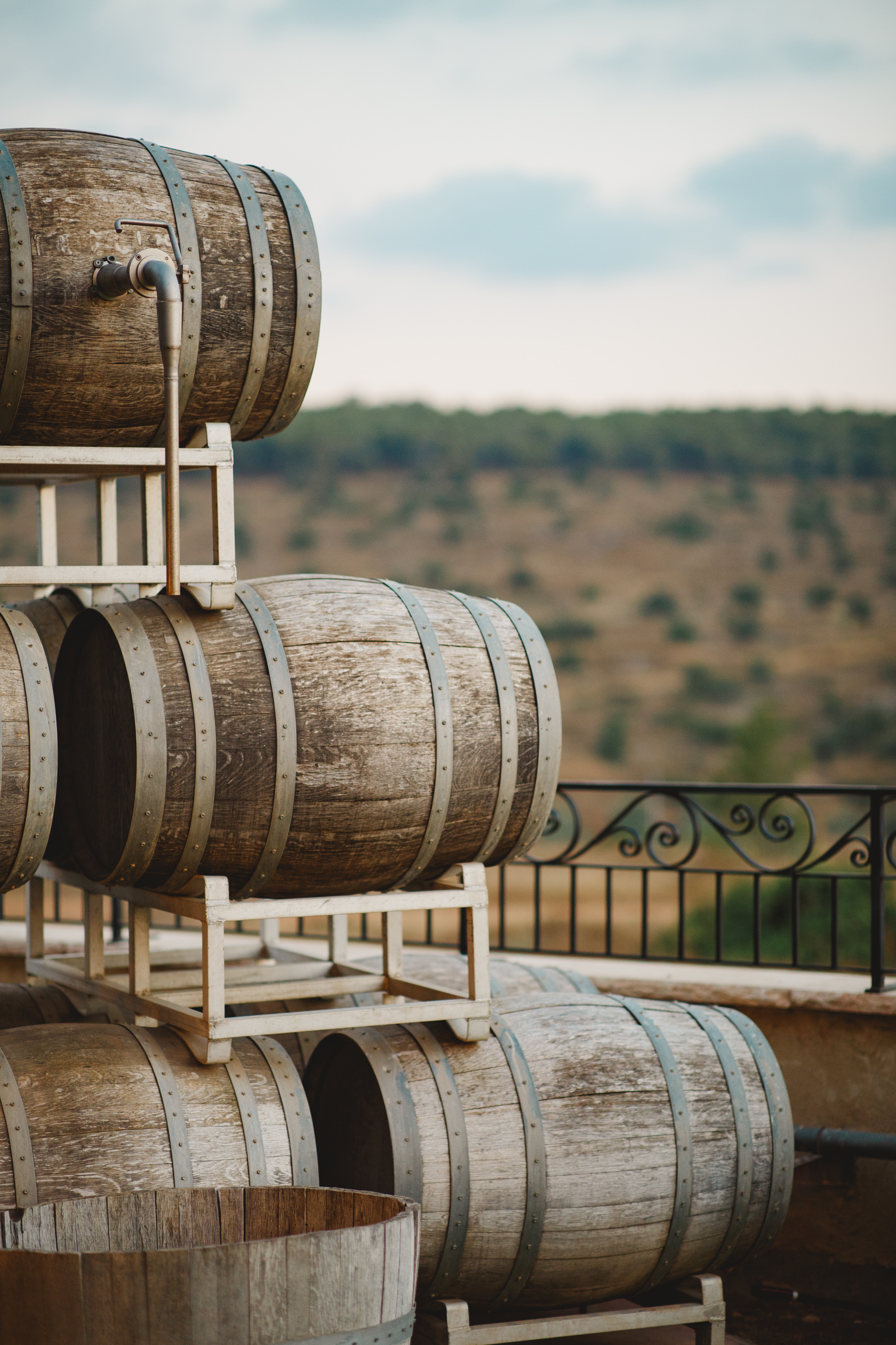 Kitron Winery